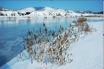 1618219227324932.png 捕獲.PNG